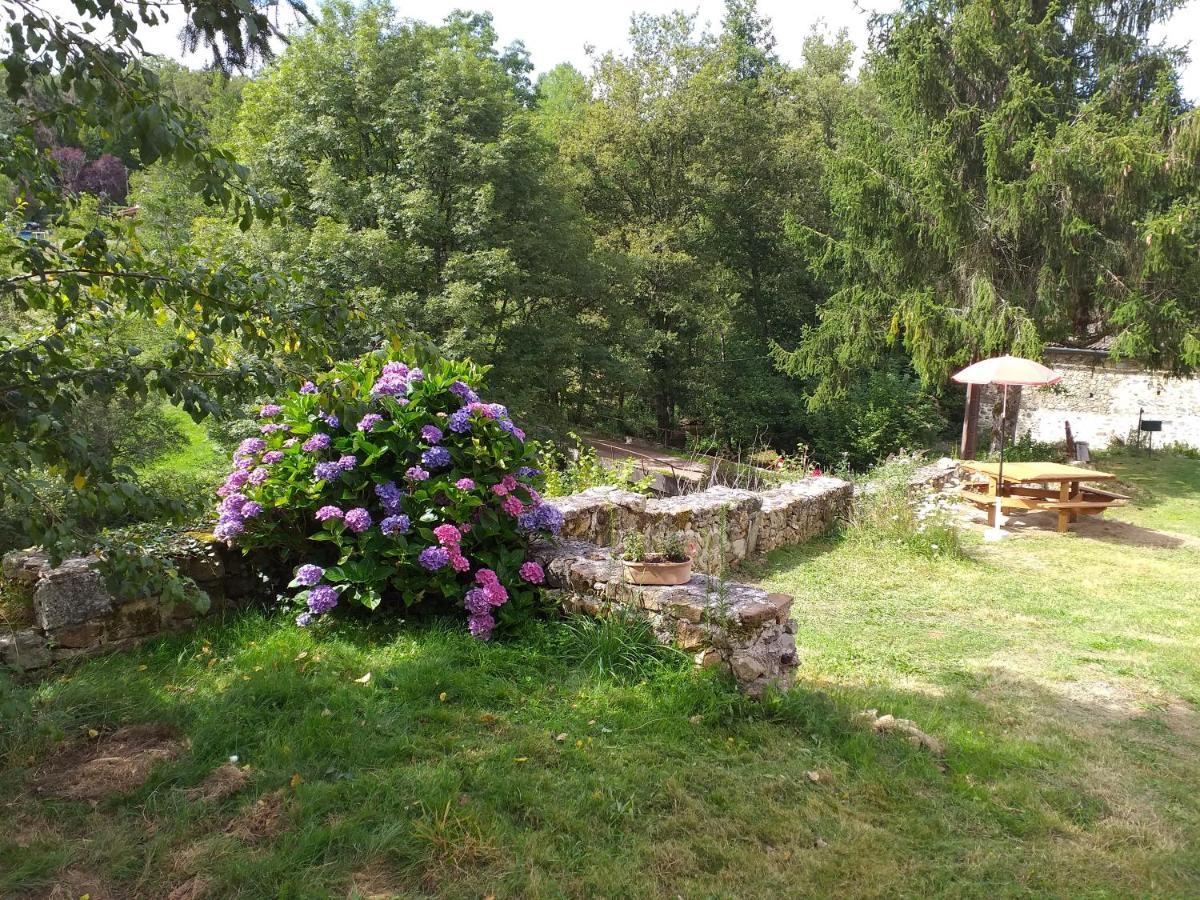 Gite Moulin De Ludieras Busserolles Bagian luar foto