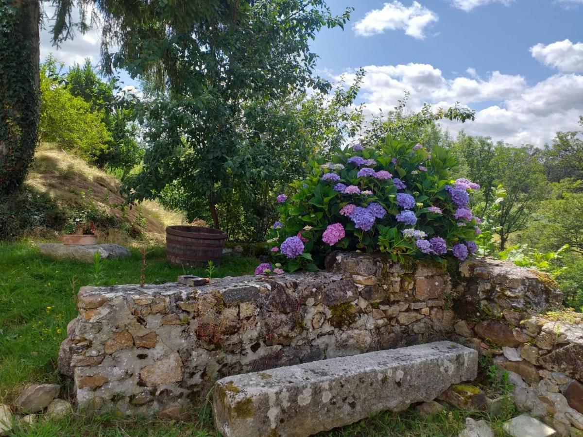 Gite Moulin De Ludieras Busserolles Bagian luar foto